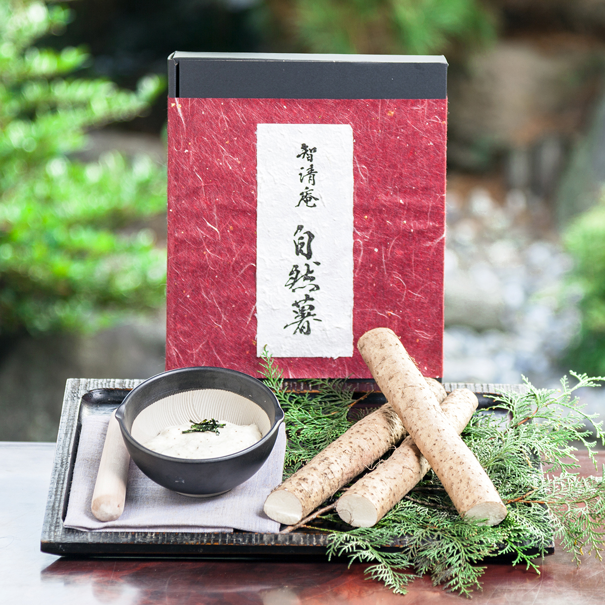 自然薯すり鉢付き500ｇ カット1 3本 自然薯の通販 智清庵